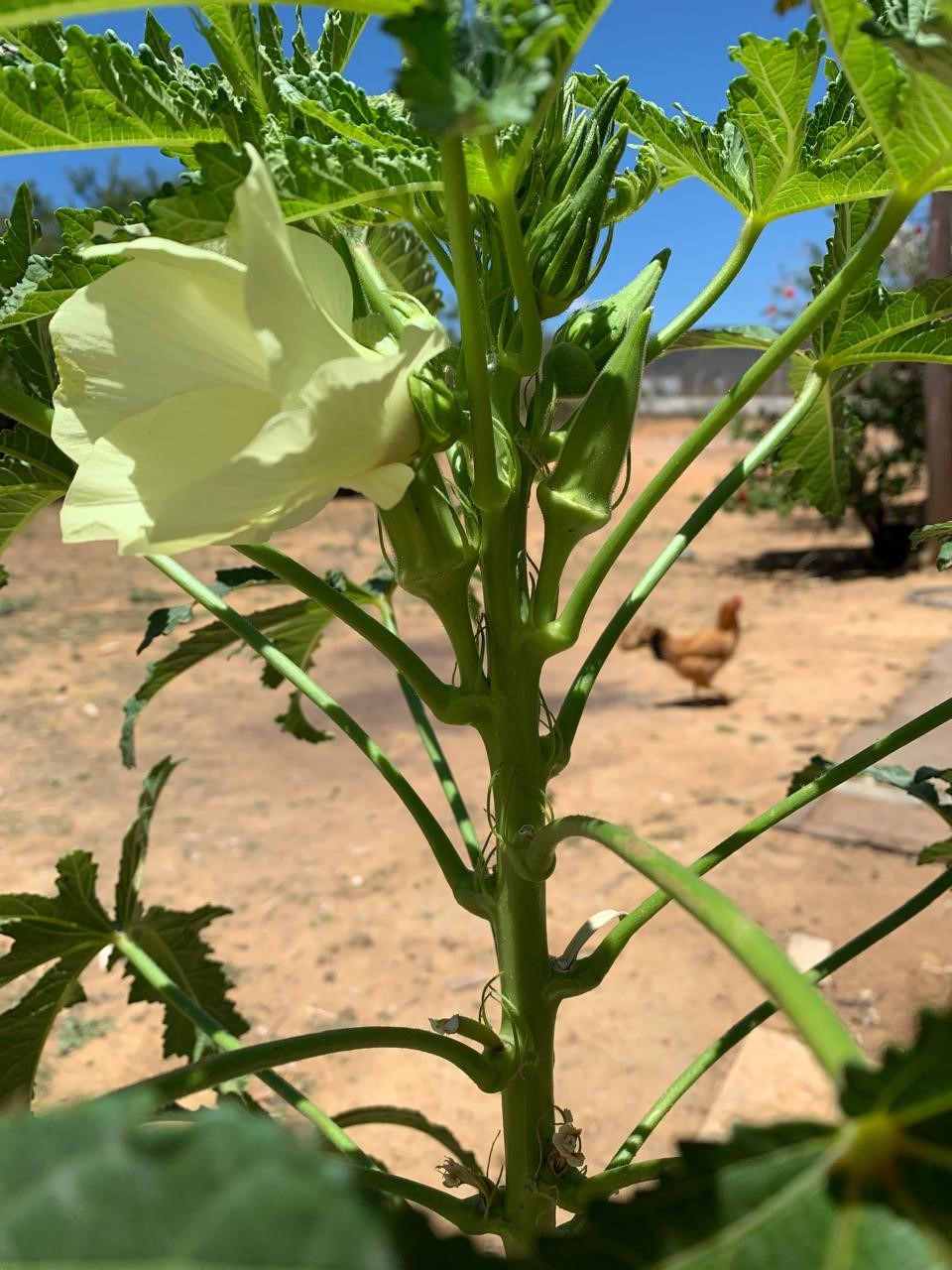 Um pouco mais sobre mim